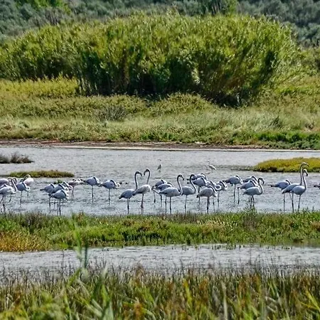 Diamantina's Comfort House Άγιος Γεώργιος